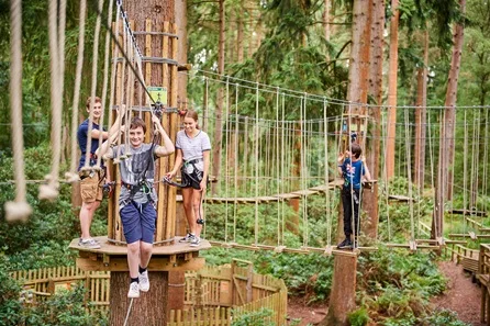 Go Ape Treetop Challenge for Four — London