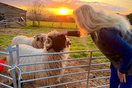 Animal Encounter for Two at The Secret Garden Glamping, Devon