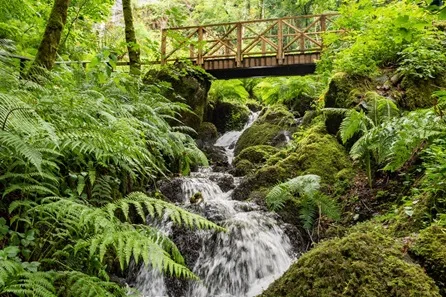 Family Visit to Canonteign Falls for Two Adults and Two Children