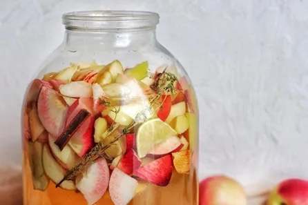Fermented Soft Drinks Workshop at The Fermentarium, London