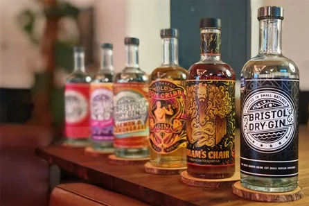 Gin Tasting Experience with Five Craft Gins at Bristol Dry Gin