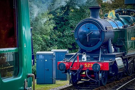 Hampshire Steam Train Trip with Fish and Chip Tea for Four