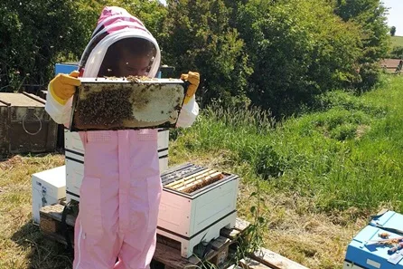 Full Day Beekeeping Experience