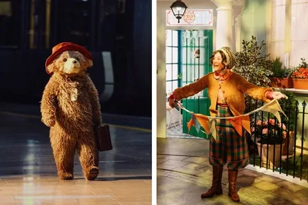 Paddington the Musical Premium Theatre Tickets and The Paddington Bear ™ Experience for One Adult and One Child - Peak