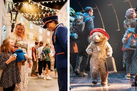 Paddington the Musical Premium Theatre Tickets and The Paddington Bear ™ Experience for Two Adults and One Child - Off Peak