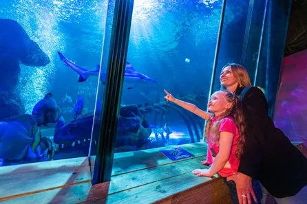 SEA LIFE Hunstanton Visit for Two Adults and Two Children