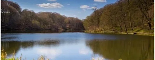 Discover Bradford's Becks: Chellow Dene Beck and Reservoirs