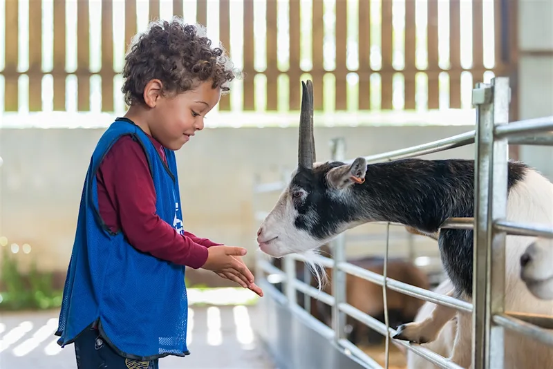Odds Farm Day Nursery & Pre School September Enrolment Week