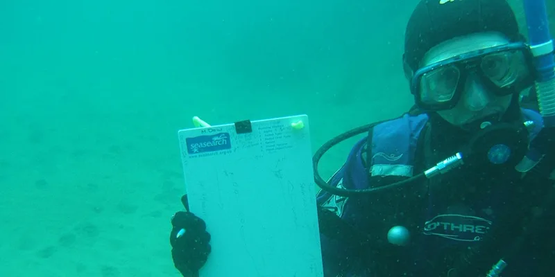 Seasearch Surveys 18th September 2026 (2103 + 37040)