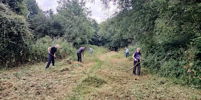 Scything at Waterside Valley