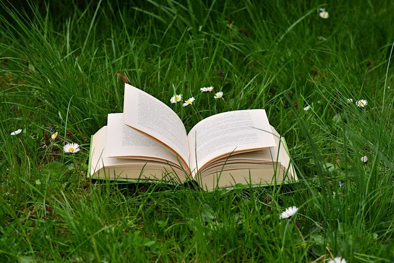 Cardiff Silent Book Club - Picnic in Bute Park