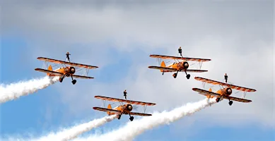 Wing Walk -August 2026 - Forget Me Not Children's Hospice