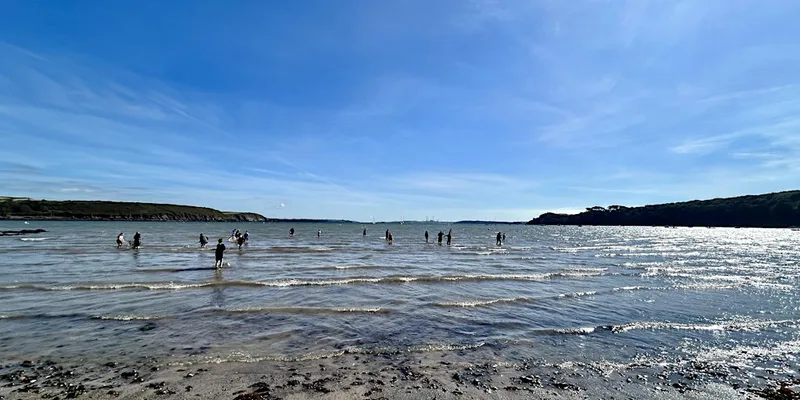 Free Family Rock Pooling & Push Netting