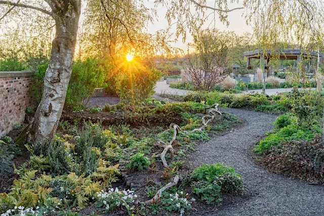 Gardening for Wellbeing Taster for Professionals (Half Day)