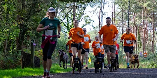 Lewis-Manning Hospice Care's Muddy Dog Dash - Avon Heath Country Park