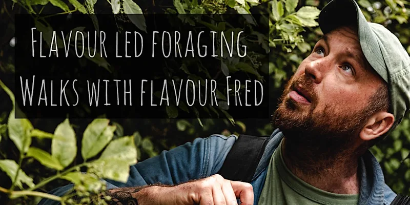Flavour-Led Foraging Walk, Plants, Fungi, History & Folklore -FUNGI FOCUSED