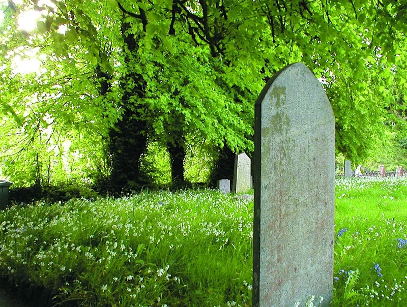 Five steps to creating a simple management plan for your churchyard