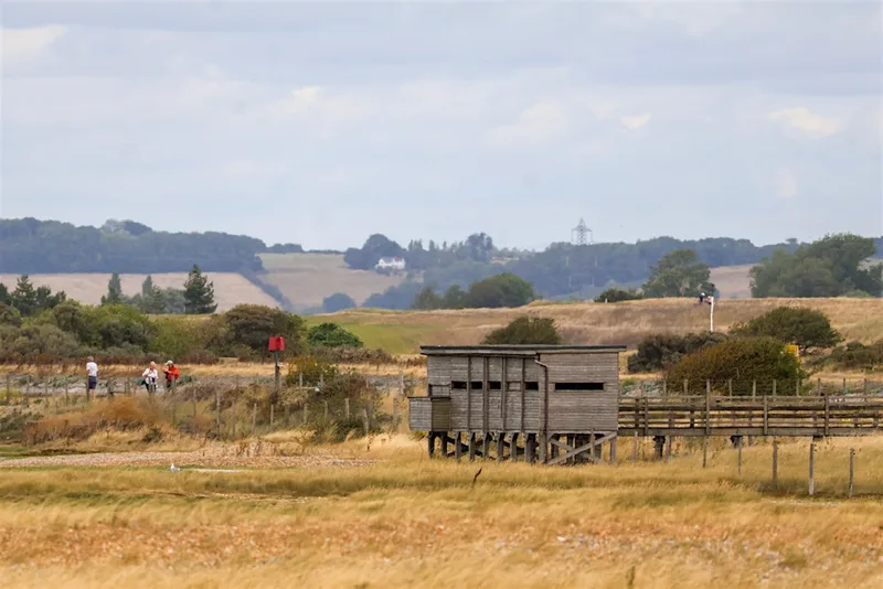 Corporate Wild Work Day: Conservation Day at Rye Harbour Nature Reserve