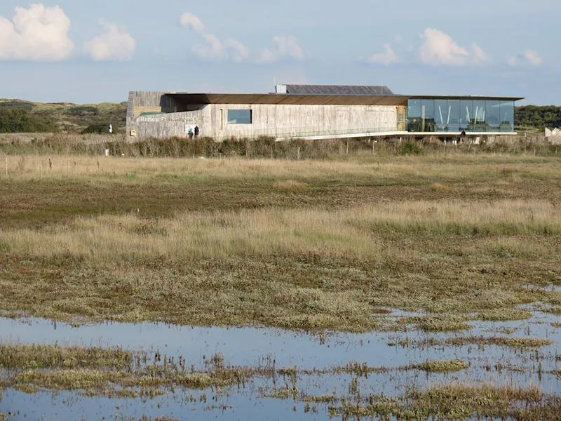 Corporate Wild Work Day: Conservation Day at Rye Harbour Nature Reserve