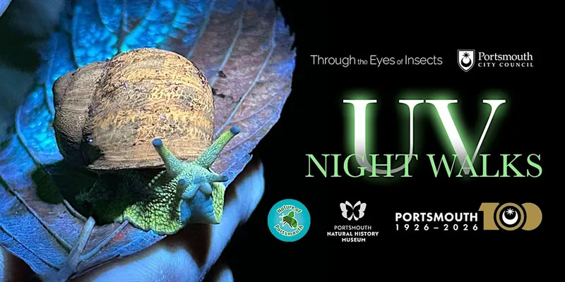 Portsmouth Natural History Museum UV Night Walk