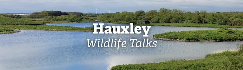 Hauxley Wildlife Talks: The roseate terns of Coquet Island