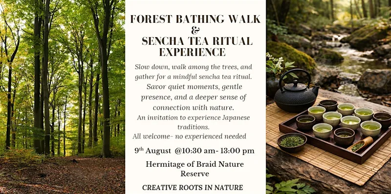 Forest Bathing Walk & Sencha Tea Ritual Experience