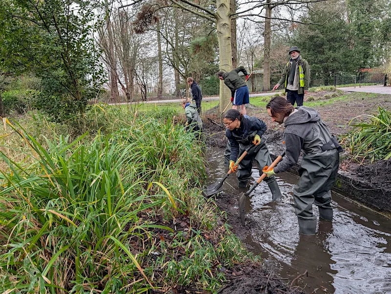 Community Volunteering @ Peckham Rye