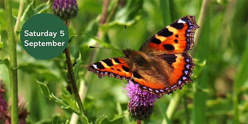Ouse Burn Way: Butterfly Walk
