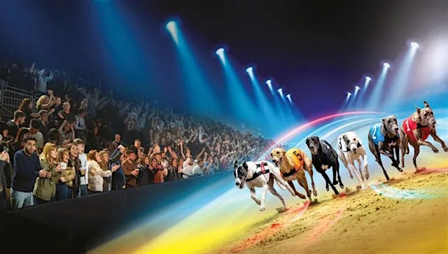 Friday Evening Dine & Race @ Sunderland Dogs