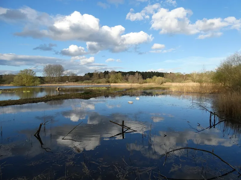 Guided Walk at Lackford Lakes (WG6)