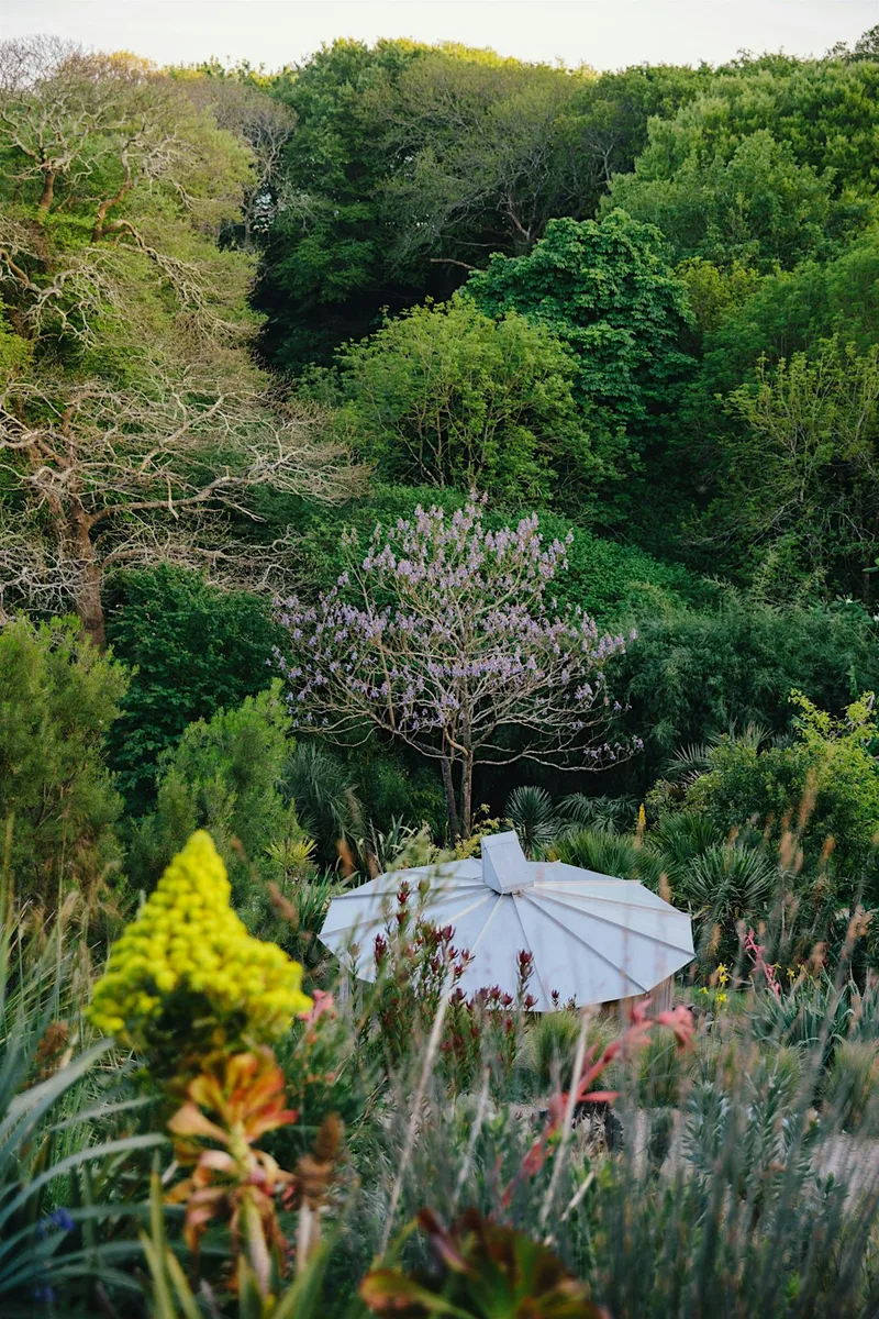Two contrasting gardens near Penzance and a unique dusk experience .