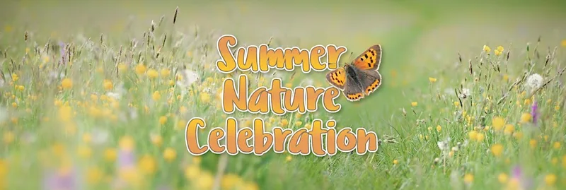 Summer nature celebration