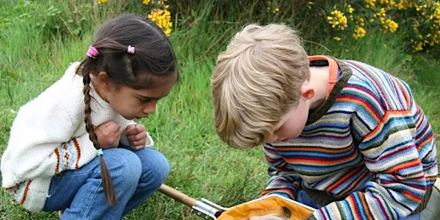 Abberton bug and butterfly hunt