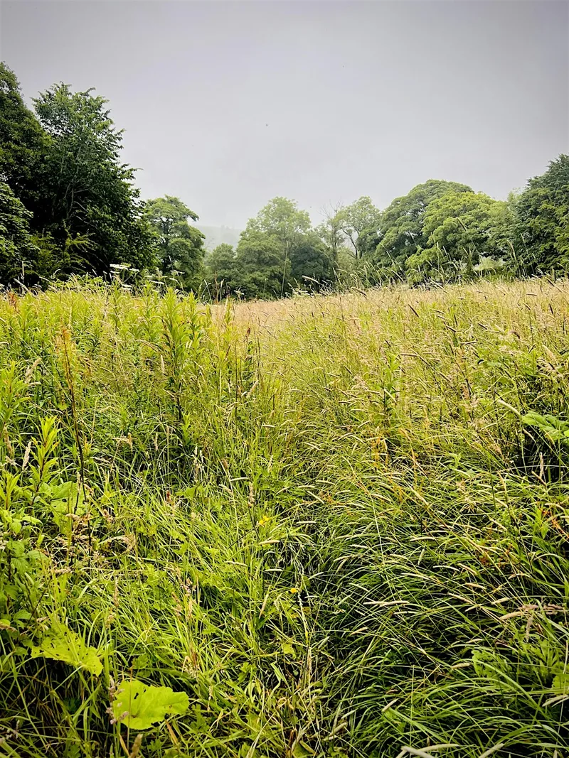 Guided Photo Walk Along Oxenhope Goyt to Haworth
