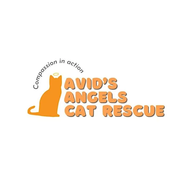 Avid's Angels Cat Rescue - Family Quiz Night