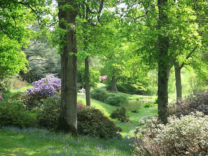 Guided Fungi Walk - High Beeches Garden , Handcross (100337035)