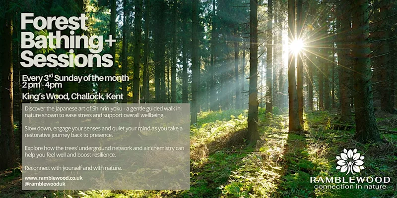 Forest Bathing+ Session - King's Wood, Challock