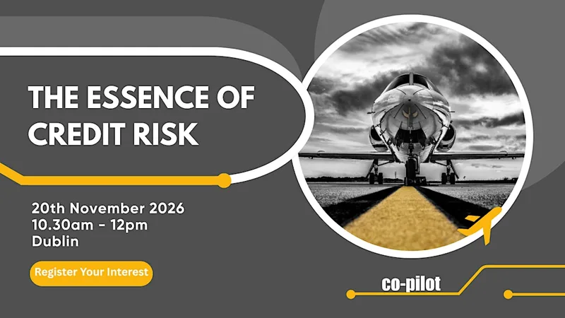 Co-pilot Essence of Credit Risk - Dublin Meeting