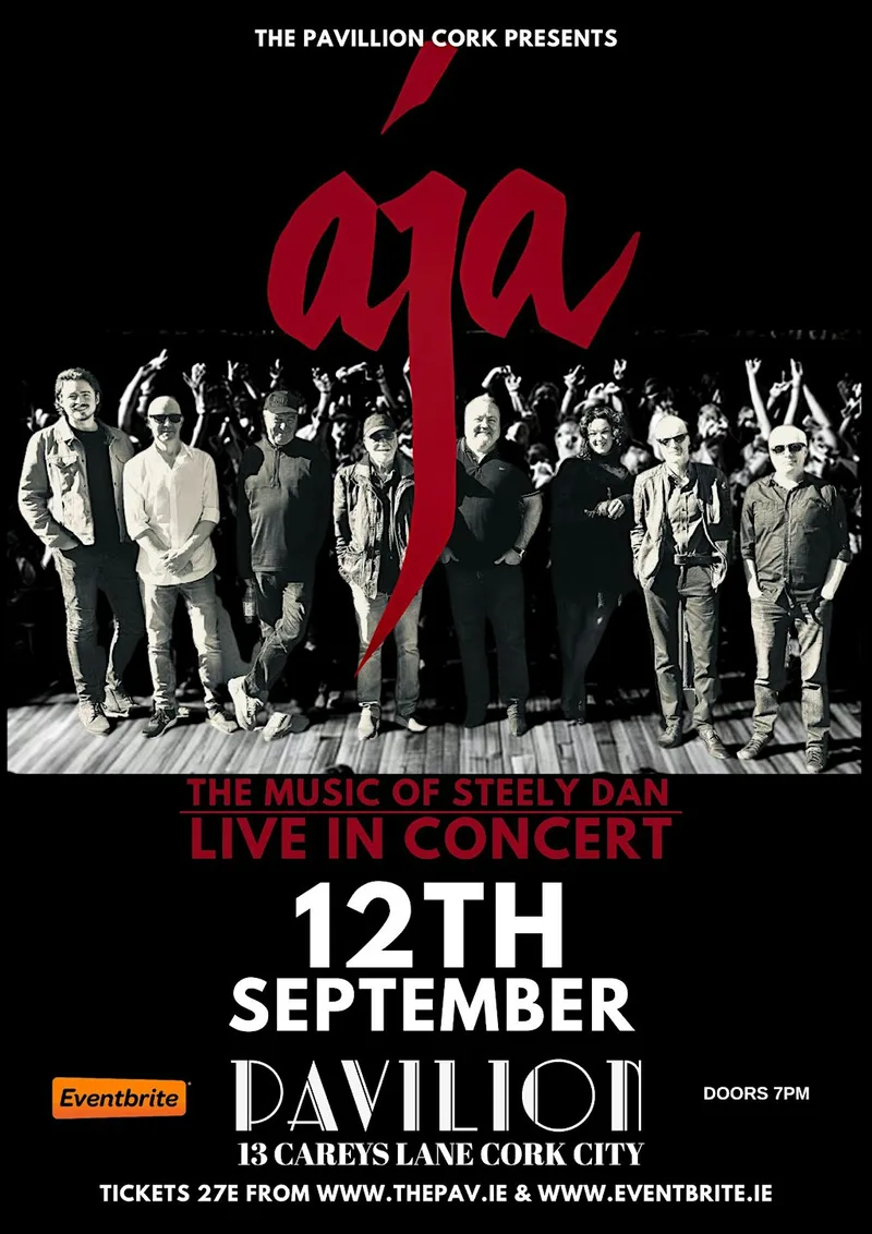 AJA - A Tribute to Steely Dan - Live at The Pavillion Cork