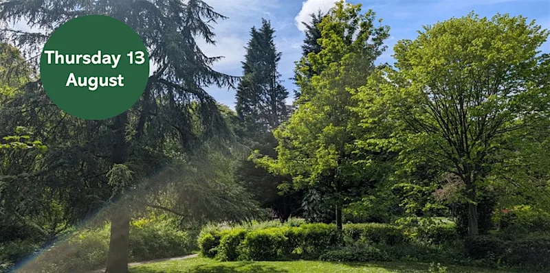Gosforth's Wild Web: City Tree Trail