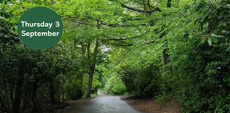 Gosforth's Wild Web: City Tree Trail