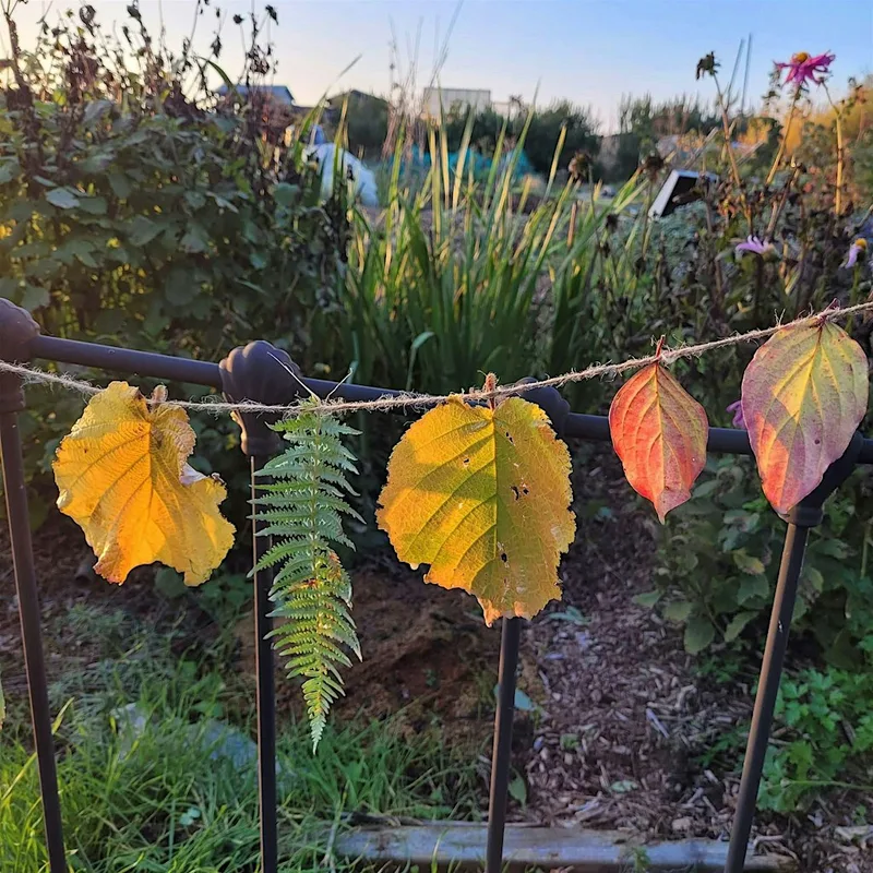 Forest School Skills Day - Autumn & Winter