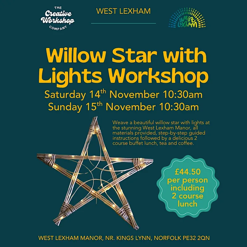 Willow Star with Lights Workshop