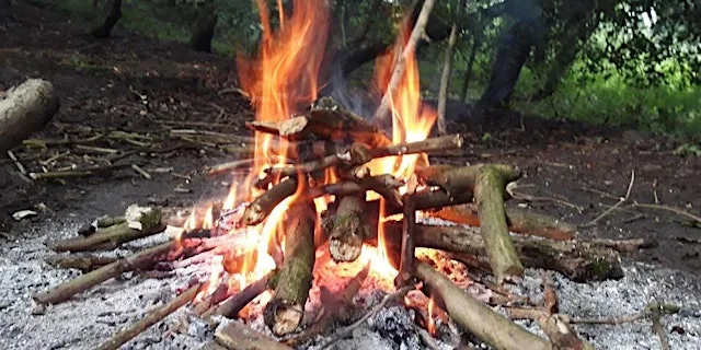 Family Bushcraft & Woodland Skills (8+)