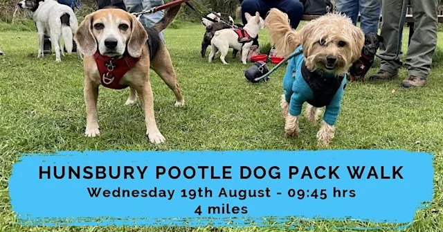 HUNSBURY POOTLE DOG PACK WALK | 4 MILES | MODERATE | NORTHANTS