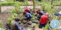 Discover & Grow - Growing Together | Darganfod a Thyfu - Tyfu Gyda'n Gilydd