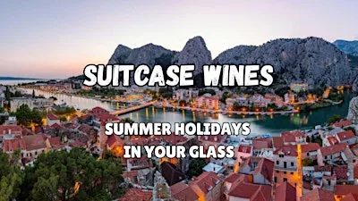 Suitcase Wines - the Summer Holidays Tasting