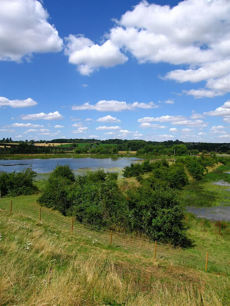 Volunteering Taster Session for 18-30s at King's Meads Nature Reserve