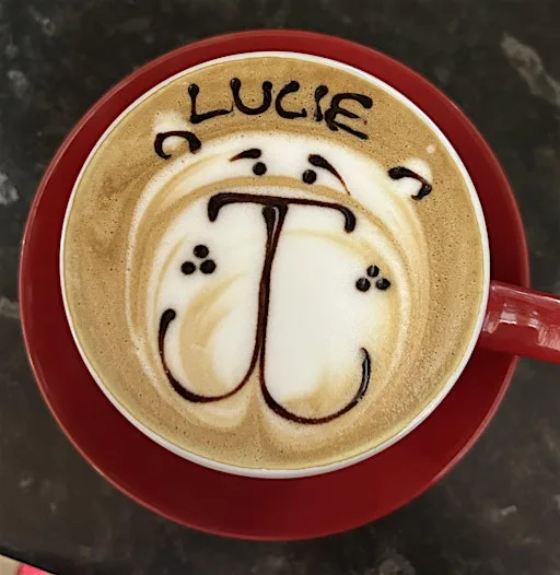 Latte Art Lesson