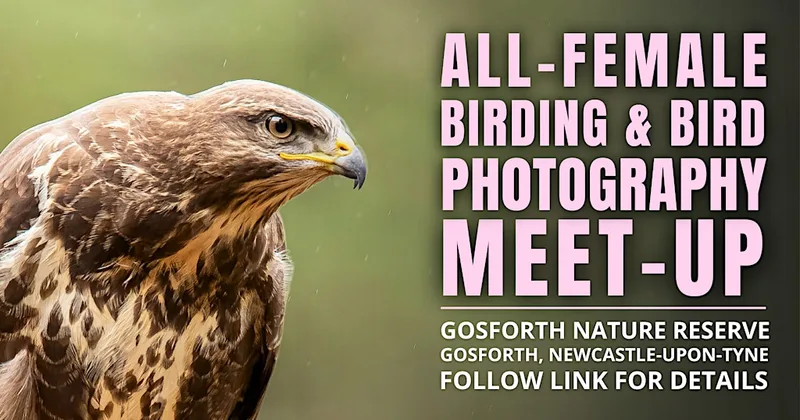 All-Female Birding & Bird Photography Morning